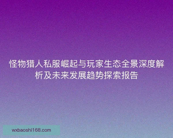 怪物猎人私服崛起与玩家生态全景深度解析及未来发展趋势探索报告