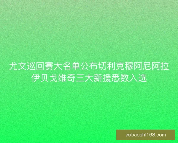 尤文巡回赛大名单公布切利克穆阿尼阿拉伊贝戈维奇三大新援悉数入选